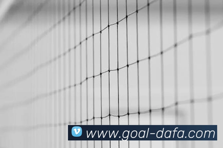 大发娱乐品牌故事